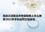 南昌靈活就業(yè)養(yǎng)老保險網(wǎng)上怎么繳費2022年手機如何交錢查詢