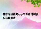 養(yǎng)老保險(xiǎn)查詢app怎么查詢繳費(fèi)方式有哪些