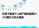 社?？ú樵儌€(gè)人賬戶查詢官網(wǎng)12333是什么怎么查詢