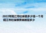 2022年陽(yáng)江市社保要多少錢一個(gè)月 陽(yáng)江市社保繳費(fèi)基數(shù)是多少