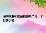 深圳失業(yè)補助金能領(lǐng)幾個月一個月多少錢