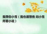 我想你小雪（我也很想他 問小雪所著小說）