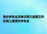 退休養(yǎng)老金清單在哪兒查看怎樣在網(wǎng)上查退休養(yǎng)老金