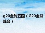 g20金磚五國（G20金融峰會）