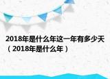 2018年是什么年這一年有多少天（2018年是什么年）