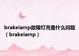 brakelamp故障燈亮是什么問題（brakelamp）