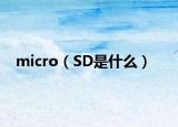 micro（SD是什么）