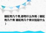 駱駝有幾個胃,都有什么作用（駱駝有幾個胃 駱駝有幾個胃分別是什么）