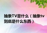 抽象TV是什么（抽象tv到底是什么東西）