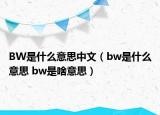 BW是什么意思中文（bw是什么意思 bw是啥意思）