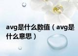 avg是什么數(shù)值（avg是什么意思）