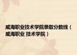 威海職業(yè)技術(shù)學(xué)院錄取分?jǐn)?shù)線（威海職業(yè) 技術(shù)學(xué)院）
