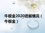 牛板金2020進展情況（牛板金）