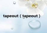 tapeout（tapeout）