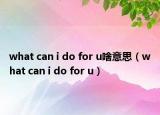 what can i do for u啥意思（what can i do for u）