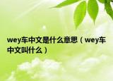 wey車中文是什么意思（wey車中文叫什么）