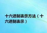 十六進(jìn)制表示方法（十六進(jìn)制表示）