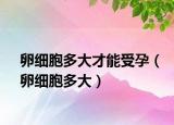 卵細(xì)胞多大才能受孕（卵細(xì)胞多大）