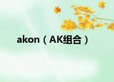 akon（AK組合）