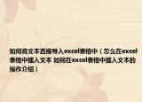 如何將文本直接導(dǎo)入excel表格中（怎么在excel表格中插入文本 如何在excel表格中插入文本的操作介紹）