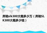 奔馳slk300大概多少萬（奔馳SLK300大概多少錢）