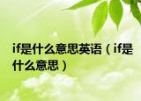 if是什么意思英語（if是什么意思）