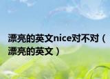 漂亮的英文nice對不對（漂亮的英文）