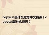 copycat是什么意思中文翻譯（copycat是什么意思）