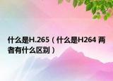 什么是H.265（什么是H264 兩者有什么區(qū)別）