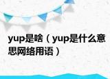 yup是啥（yup是什么意思網(wǎng)絡(luò)用語）