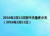 2016年2月11日到今天是多少天（2016年2月11日）