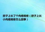 脖子上長了個(gè)肉疙瘩疼（脖子上長小肉疙瘩疼怎么回事）