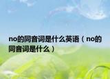 no的同音詞是什么英語(yǔ)（no的同音詞是什么）