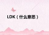 LDK（什么意思）