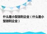 什么是小型微利企業(yè)（什么是小型微利企業(yè)）