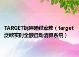 TARGET娓呯畻緋葷粺（target 泛歐實時全額自動清算系統(tǒng)）