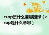 crop是什么意思翻譯（crop是什么意思）