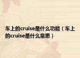 車上的cruise是什么功能（車上的cruise是什么意思）