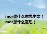 mor是什么意思中文（mor是什么意思）