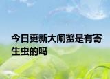 今日更新大閘蟹是有寄生蟲的嗎