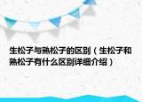 生松子與熟松子的區(qū)別（生松子和熟松子有什么區(qū)別詳細介紹）