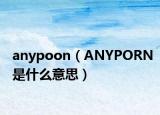 anypoon（ANYPORN是什么意思）