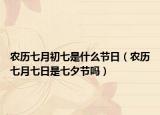 農(nóng)歷七月初七是什么節(jié)日（農(nóng)歷七月七日是七夕節(jié)嗎）