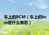 車上的BCM（車上的bcm是什么意思）