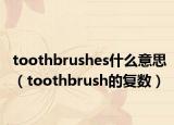 toothbrushes什么意思（toothbrush的復(fù)數(shù)）