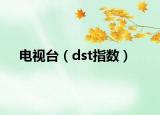 電視臺（dst指數(shù)）