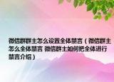 微信群群主怎么設(shè)置全體禁言（微信群主怎么全體禁言 微信群主如何把全體進(jìn)行禁言介紹）