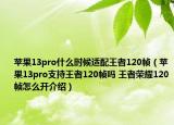 蘋果13pro什么時(shí)候適配王者120幀（蘋果13pro支持王者120幀嗎 王者榮耀120幀怎么開介紹）