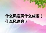 什么風(fēng)送爽什么成語（什么風(fēng)送爽）