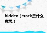 hidden（track是什么意思）